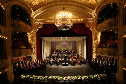 Mecklenburgisches Staatstheater Schwerin / Zuschauerraum © Silke Winkler