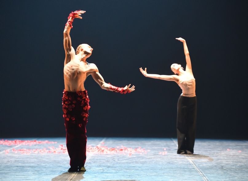 Stuttgarter Ballett / Le Spectre de la Rose © Stuttgarter Ballett