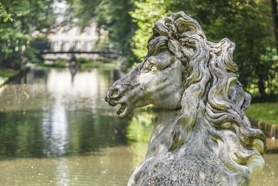 Bayerische Schlösserverwaltung, / Bayreuth, Neues Schloss, Hofgarten, Wasserross auf der Großen Insel © Bayerische Schlösserverwaltung, Thomas Köhler