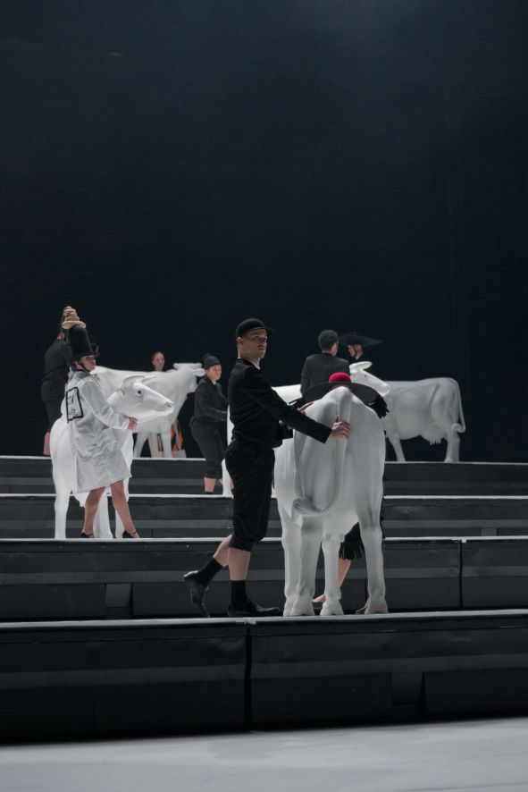 Semperoper Dresden / COW - Ballett von Alexander Ekmann - hier : Alice Mariani, Gareth Haw, Johannes Schmidt © T.M. Rives