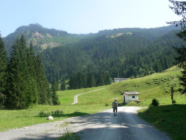 Eine Alpensinfonie _ ein Stimmungsbild © IOCO